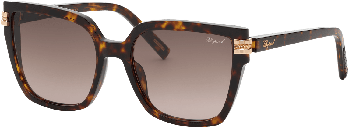מסגרת משקפיים של Chopard