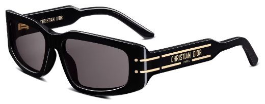 משקפי שמש Dior S9U בצבע 10A0